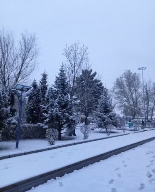 雪景图