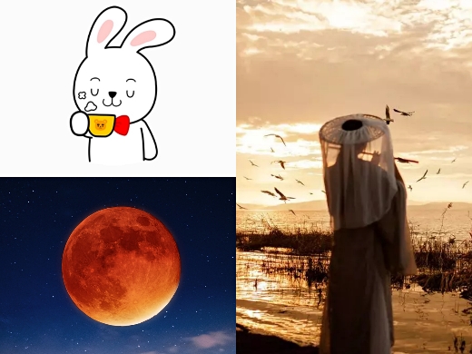 我兔