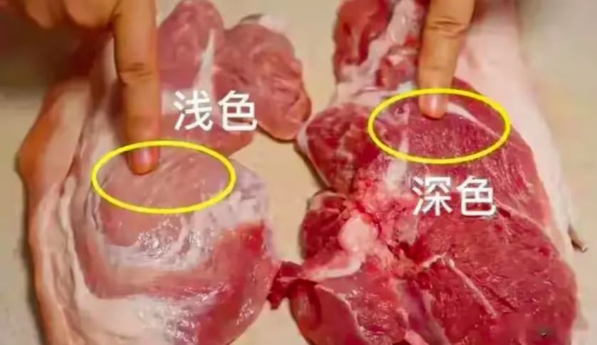 猪肉