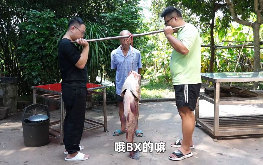 奇闻