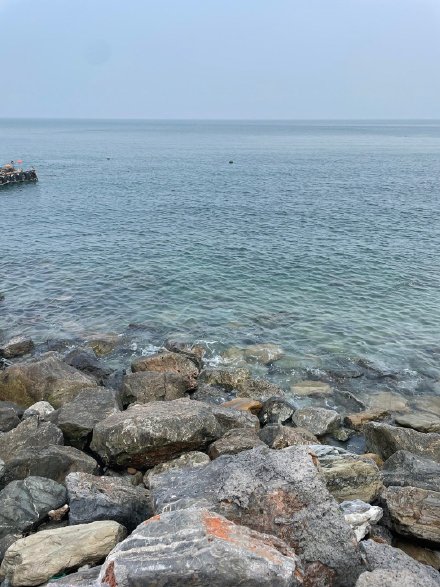 大海